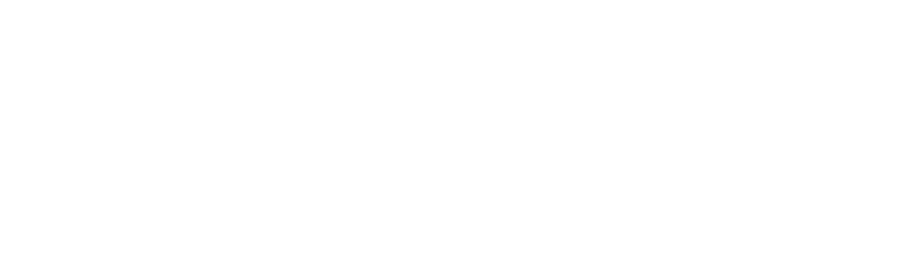 Abaco team
